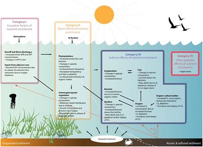 A first ecological coherent assessment of eutrophication across the North-East Atlantic waters (2015–2020)